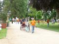 rodho 2013 (91).jpg